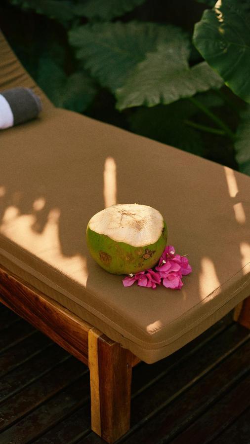 Aldea Paraiso - Adults Only - Boutique Hotel Puerto Escondido  Buitenkant foto